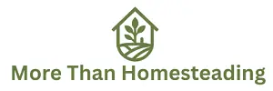 More Than Homesteading